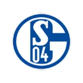 FC Schalke 04 - customjerseykit