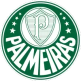 SE Palmeiras - customjerseykit