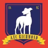 AFC Richmond - customjerseykit