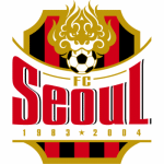 FC Seoul - customjerseykit